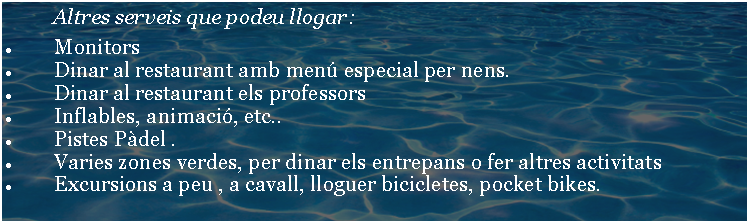 Cuadro de texto:         Altres serveis que podeu llogar:Monitors  Dinar al restaurant amb men especial per nens. Dinar al restaurant els professors  Inflables, animaci, etc.. Pistes Pdel .Varies zones verdes, per dinar els entrepans o fer altres activitats Excursions a peu , a cavall, lloguer bicicletes, pocket bikes. 