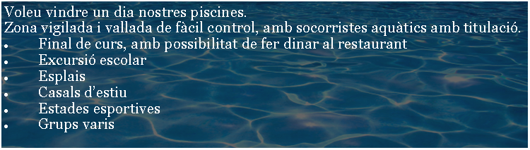 Cuadro de texto: Voleu vindre un dia nostres piscines. Zona vigilada i vallada de fcil control, amb socorristes aqutics amb titulaci. Final de curs, amb possibilitat de fer dinar al restaurantExcursi escolar Esplais Casals destiu Estades esportives Grups varis 